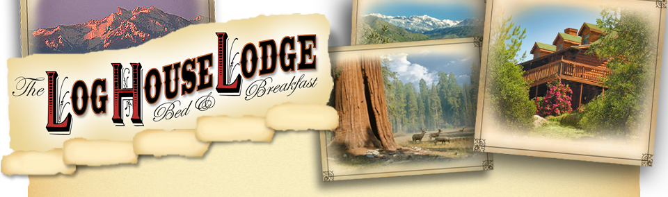 Sequoia Lodging Header