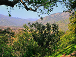 Sequoia National Park Lodging