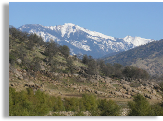 Sequoia National Park Lodging