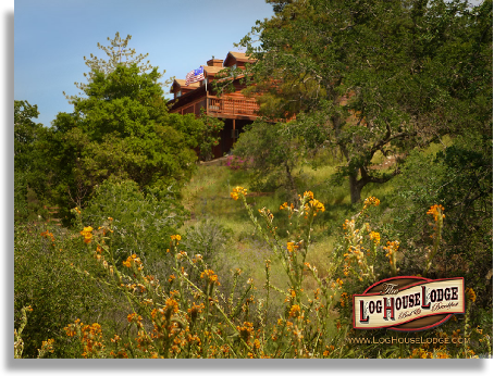 Sequoia Lodging